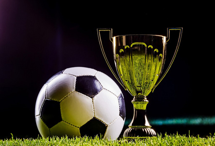 引了更多关 引了更多关