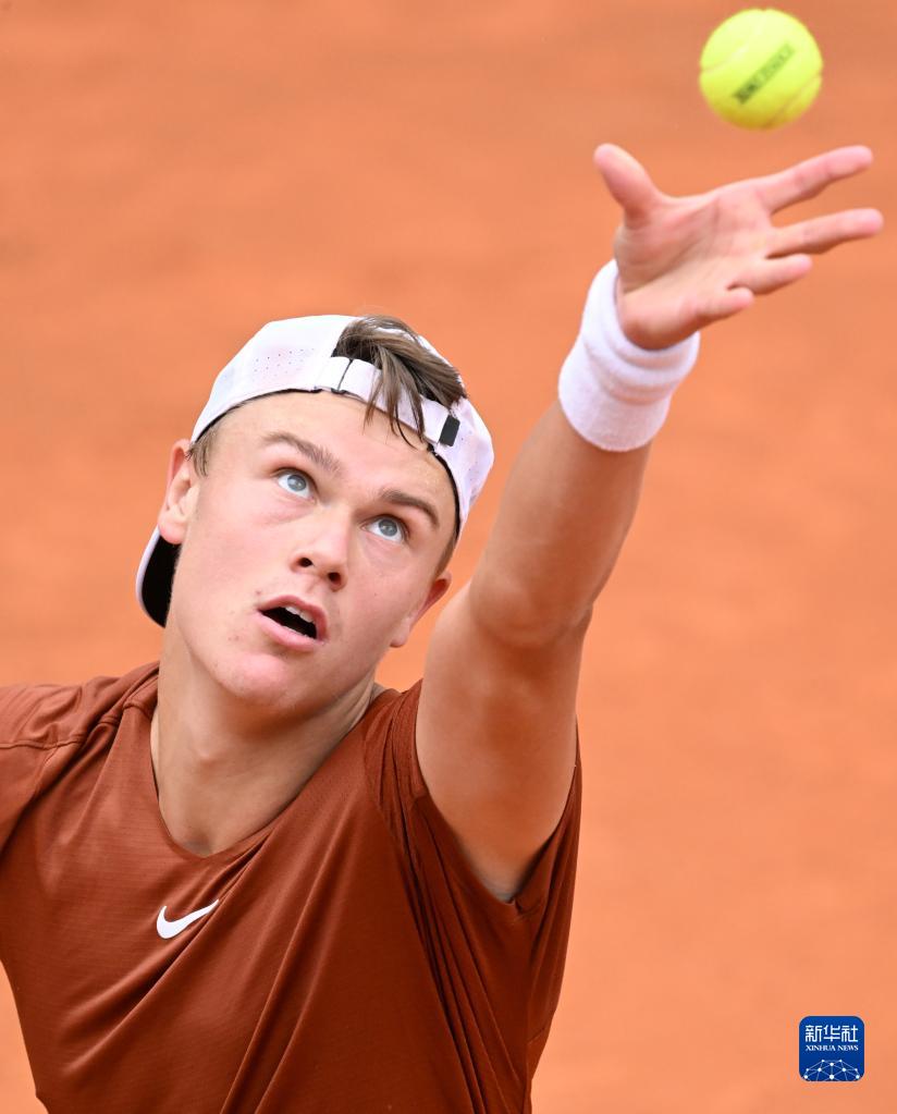 他们引进了 他们引进了