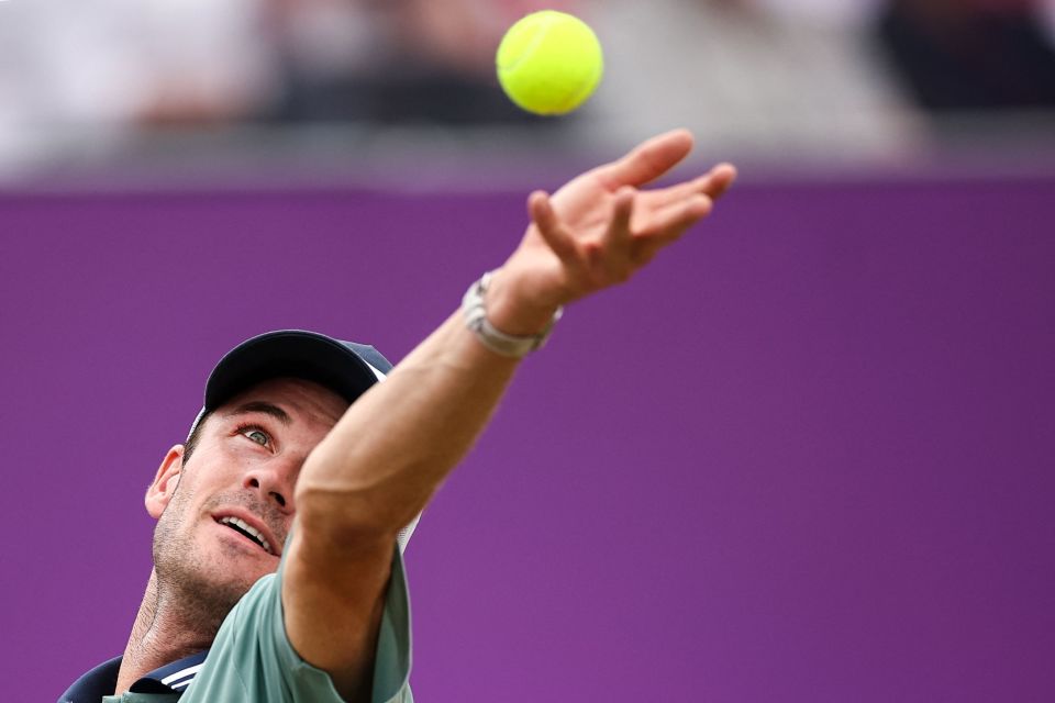 已跻身NF 已跻身NF