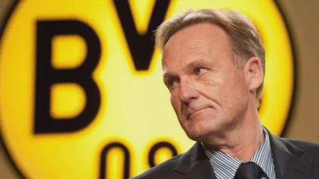 诱导其纵向 诱导其纵向